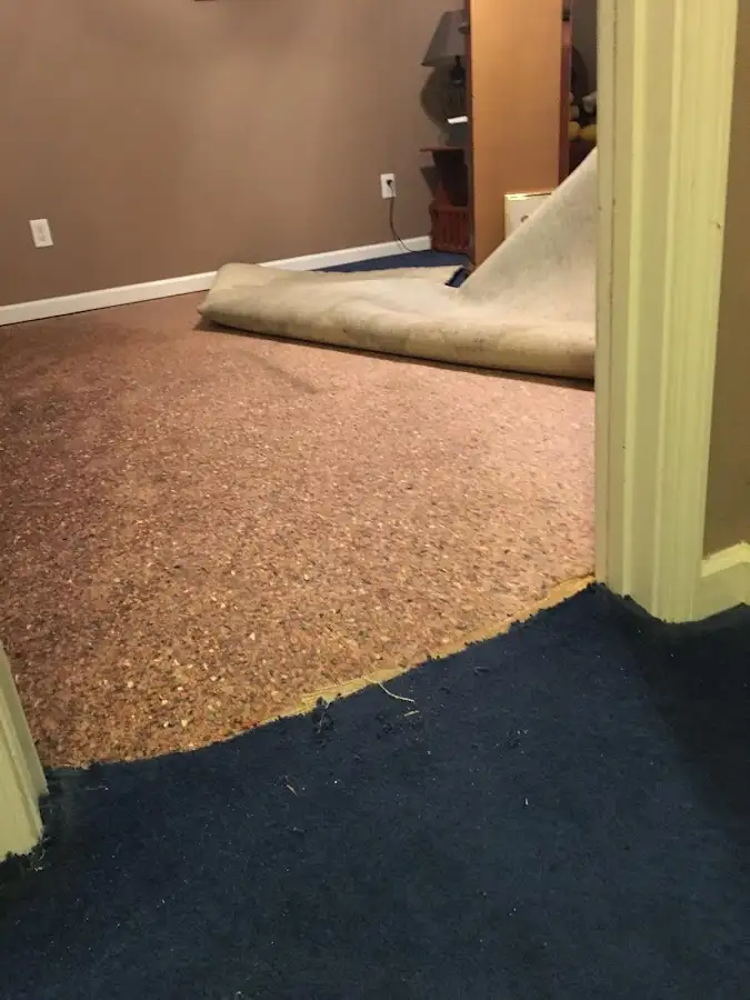 Carpet pad removal revealing water damage during Drying & Dehumidification in Pontoon Beach
