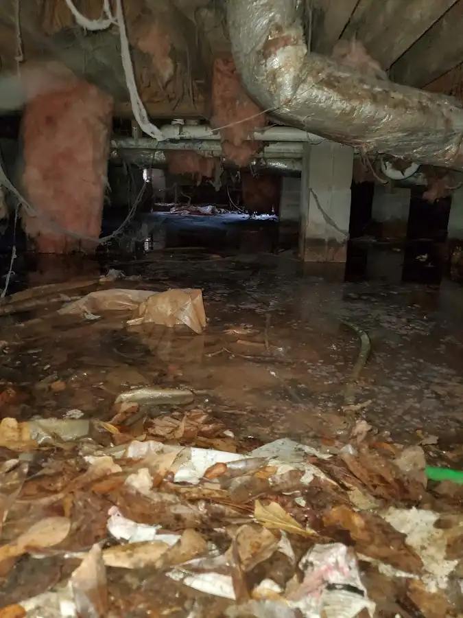 Crawl space flood assessment for Leak Detection & Repair in Pontoon Beach
